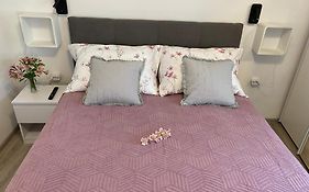 Apartments Dalia House